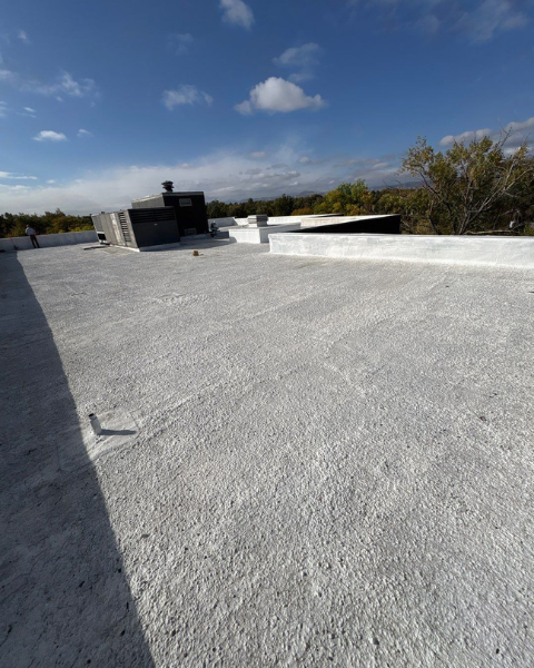 Roof maintenance services