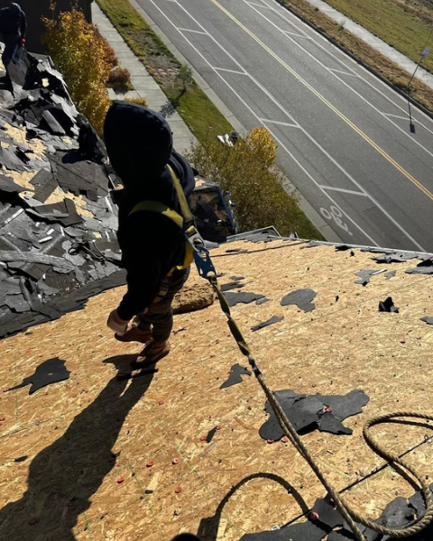 Roofing Contractors